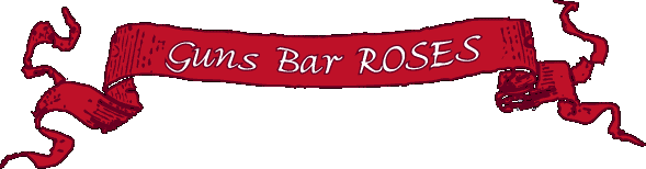 GUNS BAR ROSES